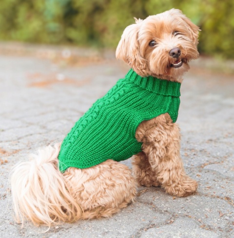 Sweter Golf dla psa Wear M zielony Chaba Sweter Golf dla psa Wear M zielony Chaba