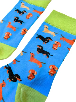 Skarpetki w Jamniki Męskie (kolorowe)