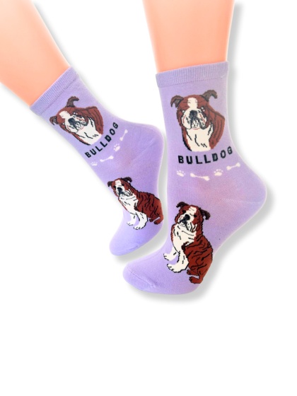 Skarpetki z Buldogiem Angielskim Damskie (fioletowe)