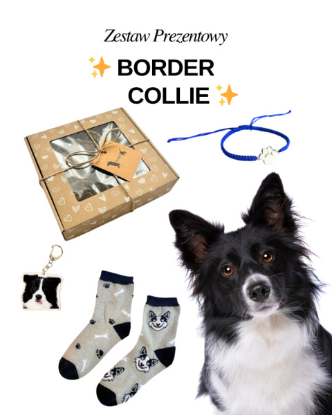 gadżety z border collie gadżety z border collie