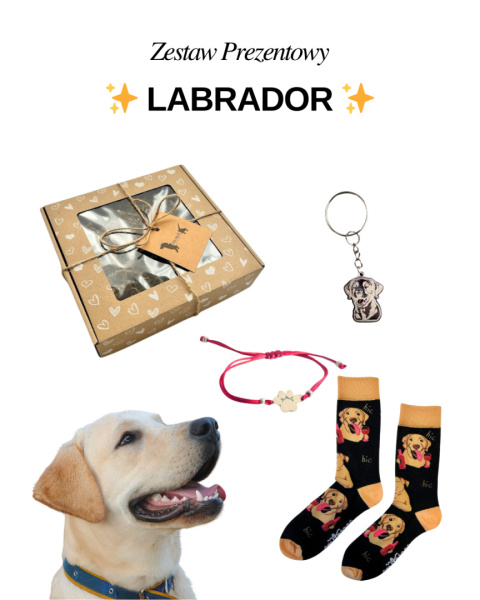 Prezent dla Miłośniczki Labradora Prezent dla Miłośniczki Labradora
