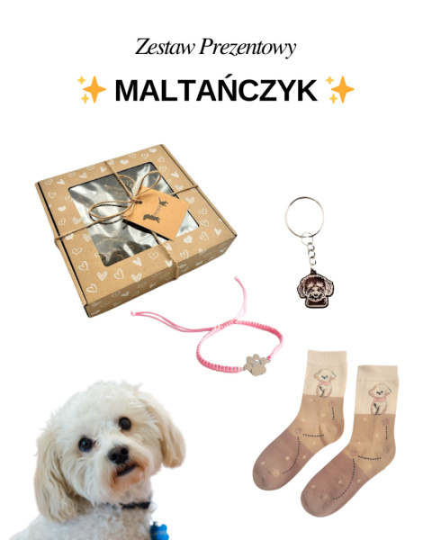 Prezent dla Miłośniczki Maltańczyka Prezent dla Miłośniczki Maltańczyka