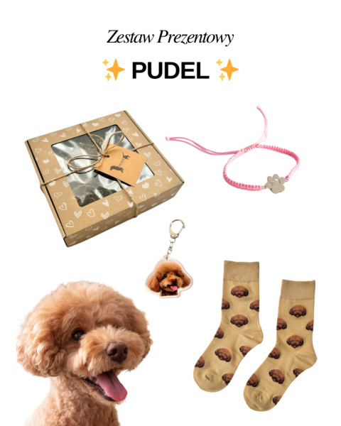 gadżety z pudlem gadżety z pudlem