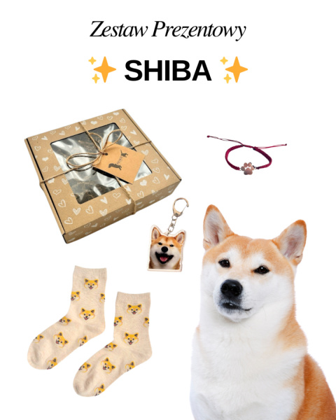 prezent dla właściciela shiby prezent dla właściciela shiby