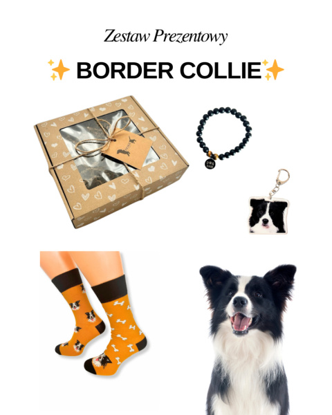 Prezent dla Miłośnika Border Collie Prezent dla Miłośnika Border Collie