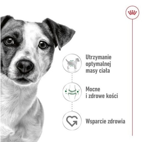 Royal Canin Mini Adult karma sucha dla psów dorosłych, ras małych 9kg (8+1kg) Royal Canin Mini Adult karma sucha dla psów dorosłych, ras małych 9kg (8+1kg)