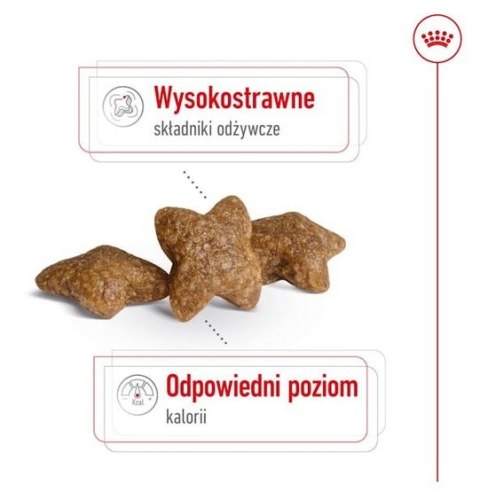 Royal Canin Mini Adult karma sucha dla psów dorosłych, ras małych 9kg (8+1kg) Royal Canin Mini Adult karma sucha dla psów dorosłych, ras małych 9kg (8+1kg)