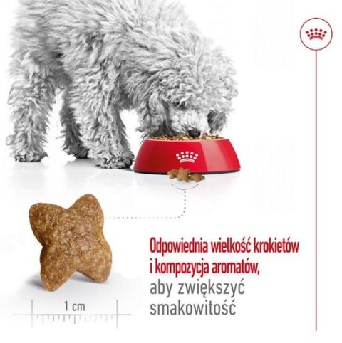 Royal Canin Mini Adult karma sucha dla psów dorosłych, ras małych 9kg (8+1kg) Royal Canin Mini Adult karma sucha dla psów dorosłych, ras małych 9kg (8+1kg)