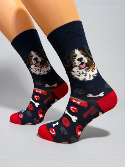 Skarpetki Berneński Pies Pasterski Męskie