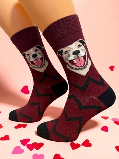 Skarpetki Pitbull Męskie