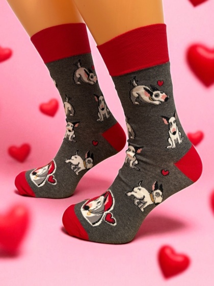 Skarpetki Bulterier Męskie (szare)