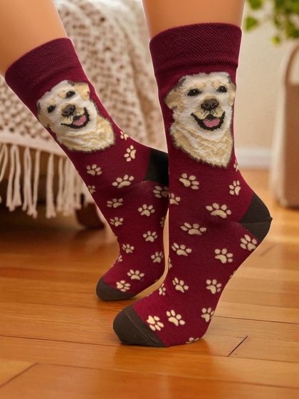 Skarpetki Labrador Damskie (bordowe)