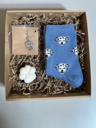 Prezent dla Miłośniczki Dalmatyńczyka