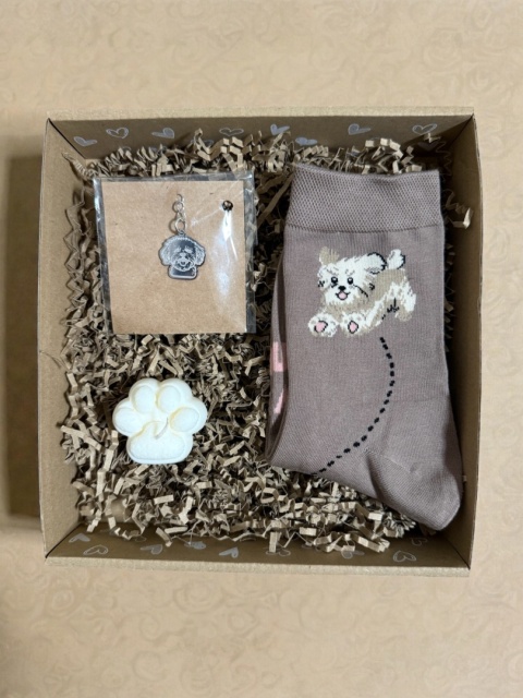 Prezent dla Miłośniczki Maltańczyka