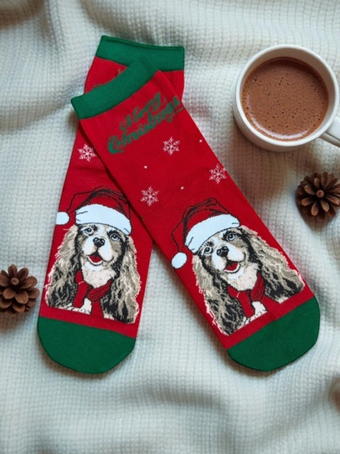 Skarpetki Świąteczne w Cavalier King Charles Spaniel Damskie
