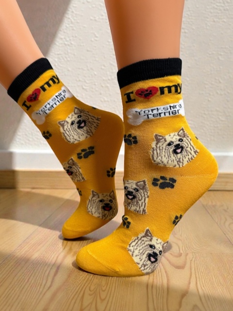 Skarpetki w Yorki Dziecięce (żółte)