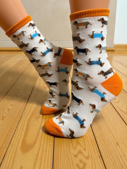 Skarpetki w Jamniki Damskie (kremowe)