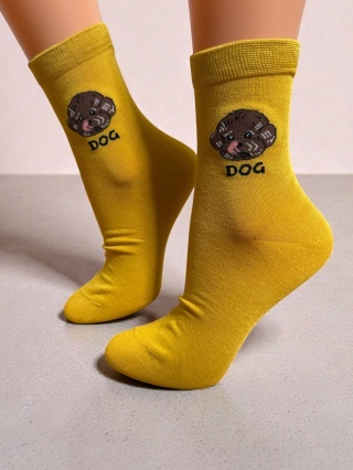 Skarpetki w Pudle Toy Damskie