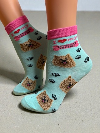 Skarpetki w Yorki Dziecięce (turkusowe