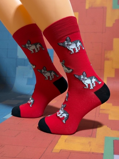 Skarpetki z Buldogiem Francuskim Męskie (czerwone)