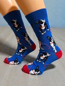 Skarpetki z Boston Terrier Męskie