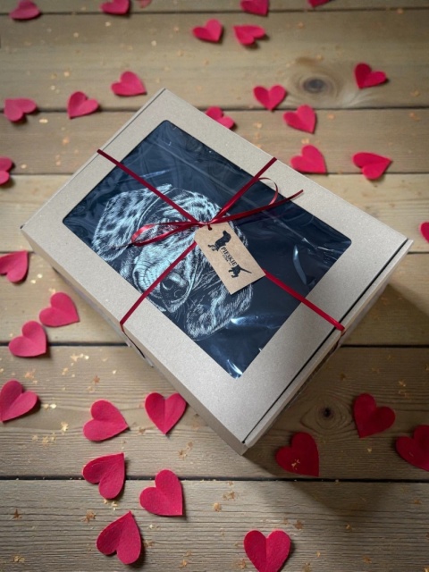 Bluza z Dobermanem Black&White