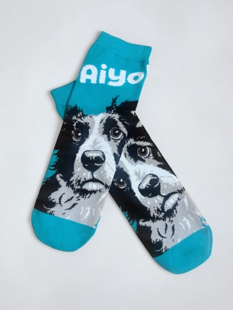 Skarpetki Border Collie Damskie