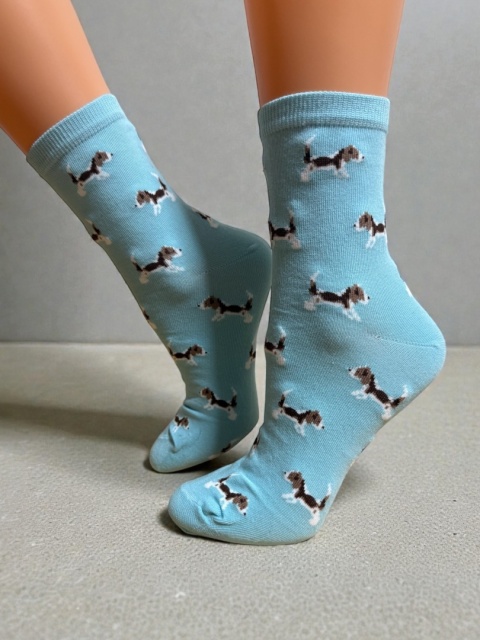 Skarpetki w Beagle Damskie (błękitne)