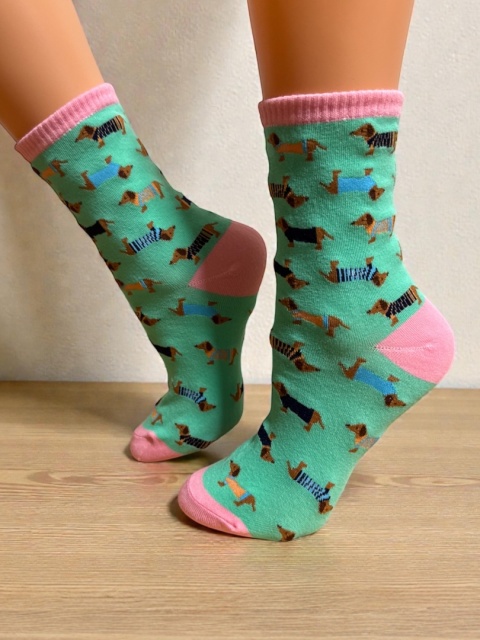 Skarpetki w Jamniki Damskie (turkusowe)