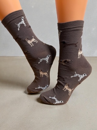 Skarpetki w Psy Damskie (brązowe)