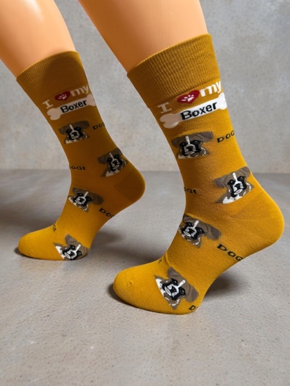 Skarpetki z Bokserem Męskie (musztardowe)