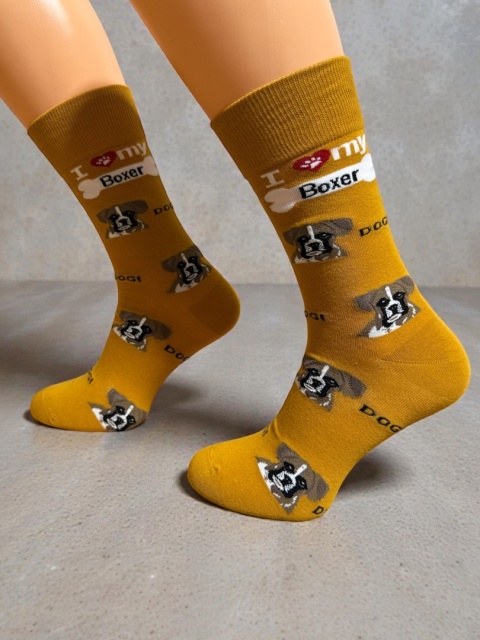 Skarpetki z Bokserem Męskie (musztardowe)
