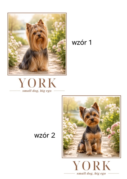 Koszulka z Yorkiem Damska