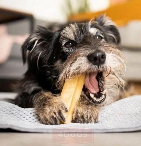4DOGS Gryzak z sera himalajskiego Churpi Original S 4DOGS Gryzak z sera himalajskiego Churpi Original S