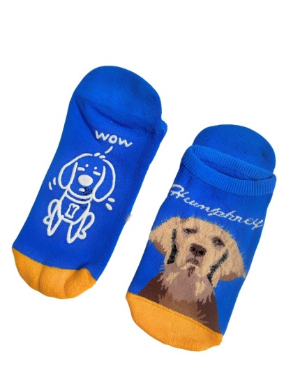Stopki Skarpetki z Wyżłem Męskie (niebieskie)