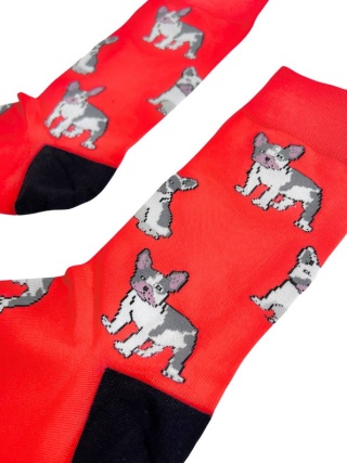 Skarpetki z Buldogiem Francuskim Męskie (czerwone)